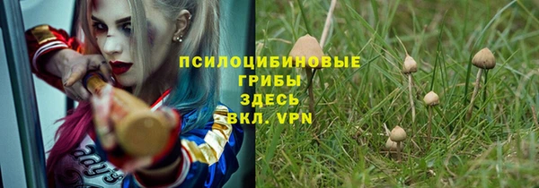 Альфа ПВП Михайловск
