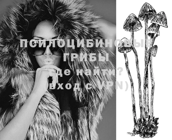 спайс Надым