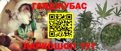 apvp Партизанск