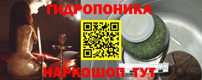 Альфа ПВП Канаш