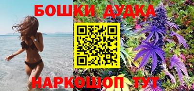 Альфа ПВП Канаш