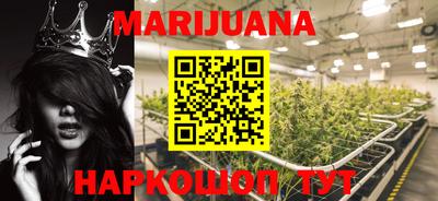 Альфа ПВП Канаш