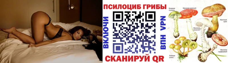 Галлюциногенные грибы GOLDEN TEACHER  Нововоронеж 