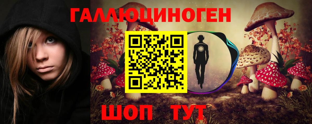 Галлюциногенные грибы Psilocybe  Нововоронеж 