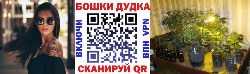 МАРИХУАНА OG Kush  Нововоронеж 