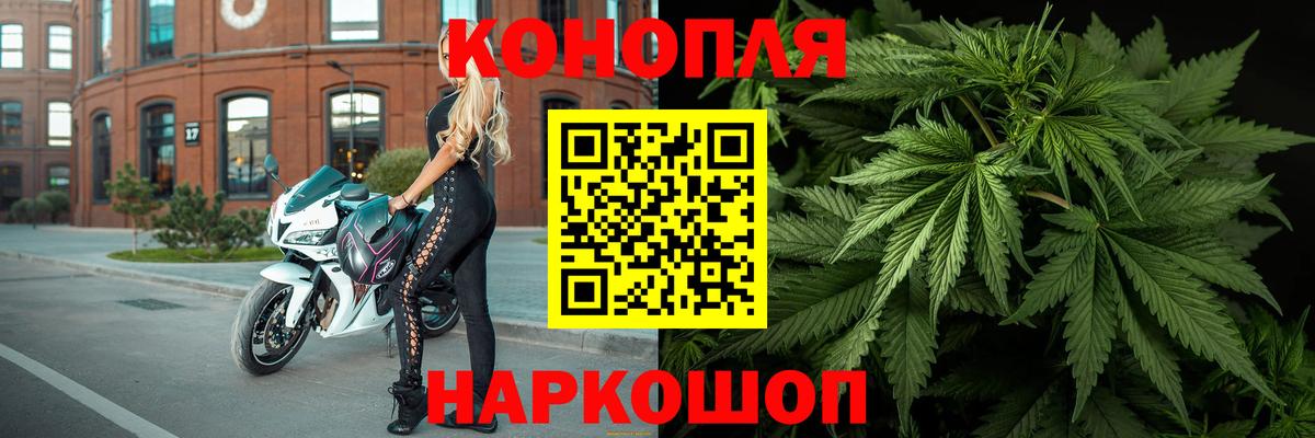 Канабис White Widow  Бошки марихуана гибрид  Вход с VPN  Нововоронеж 